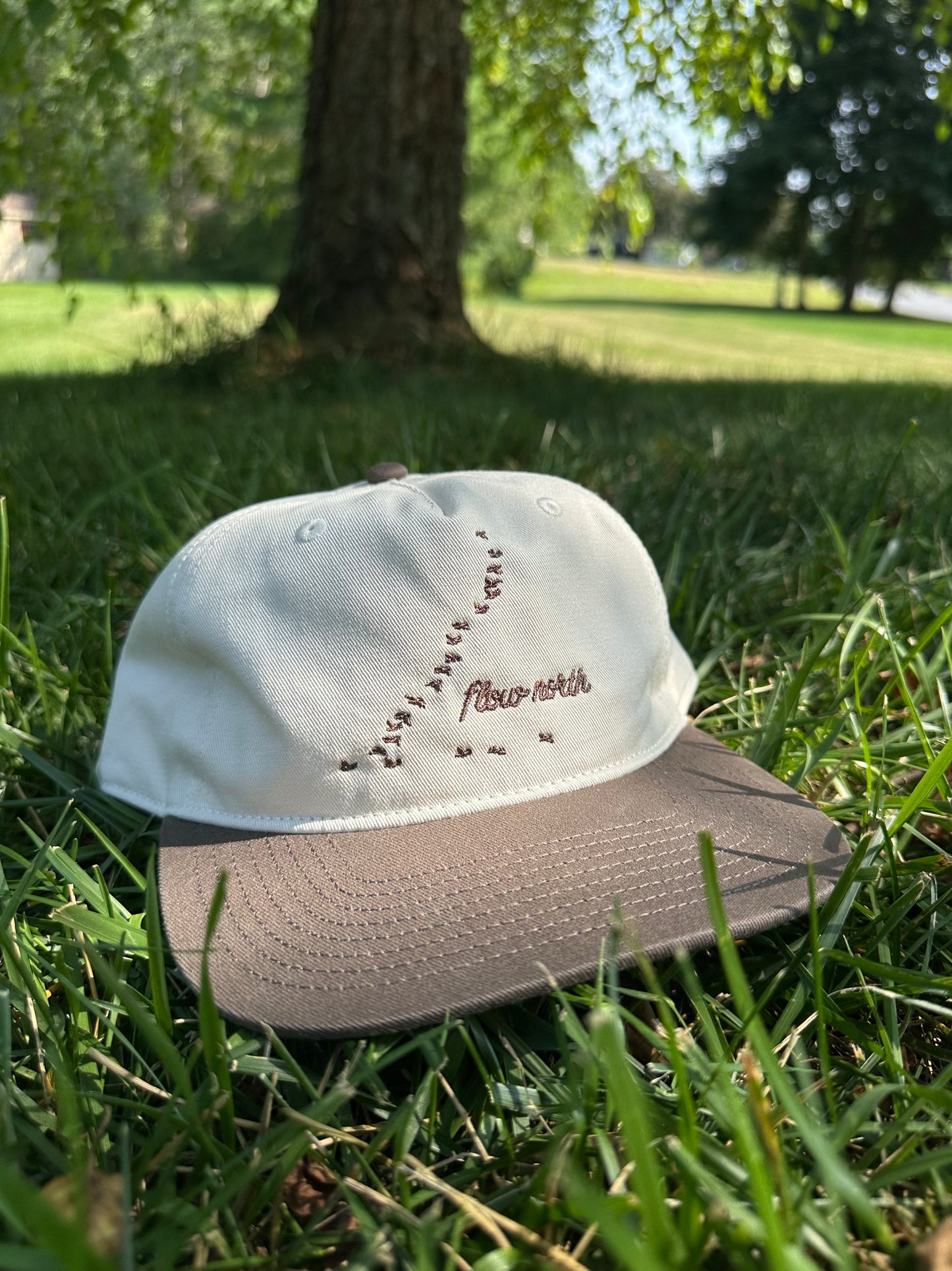 DRIFTER "FLOW NORTH" CAP