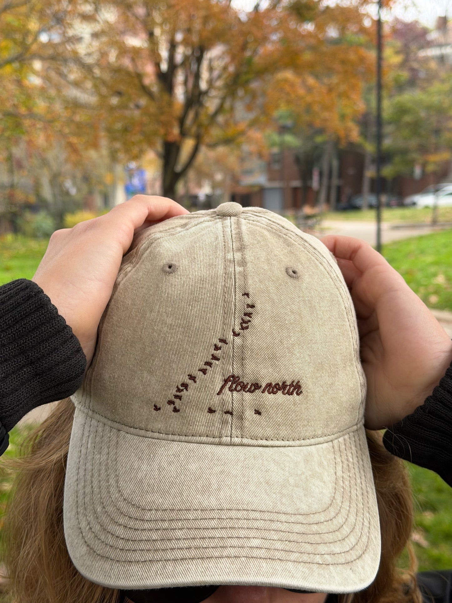 Snow Washed Slope-Style Cap